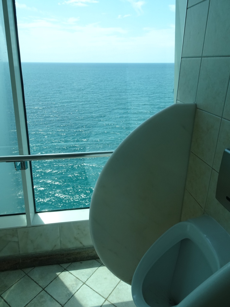 Urinal overlooking the ocean